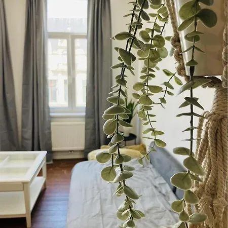 Suikernest Apartment